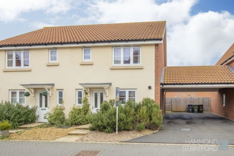 View Full Details for Rowan Way, Cringleford