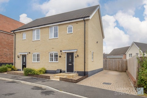 View Full Details for Hoy Drive, Thetford