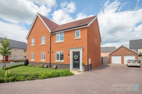 View Full Details for Tortoiseshell Drive, Attleborough