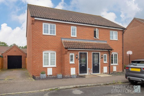 View Full Details for Albini Way, Wymondham