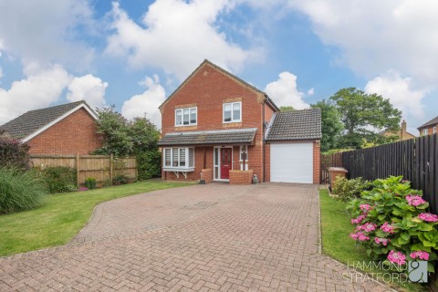 View Full Details for Ash Tree Close, Attleborough