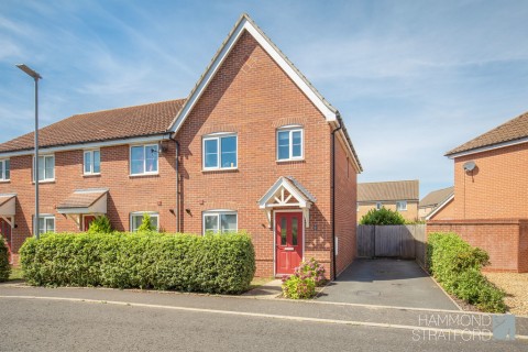 View Full Details for Speckled Wood Close, Attleborough