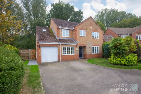 View Full Details for Armitage Close, Cringleford