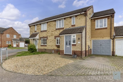 View Full Details for Teasel Road, Attleborough